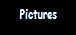 Picture Gallery